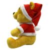 Disney Pooh Festive Friends Hugger Pillow & Silk Touch Throw Blanket Set 40x50 Inches